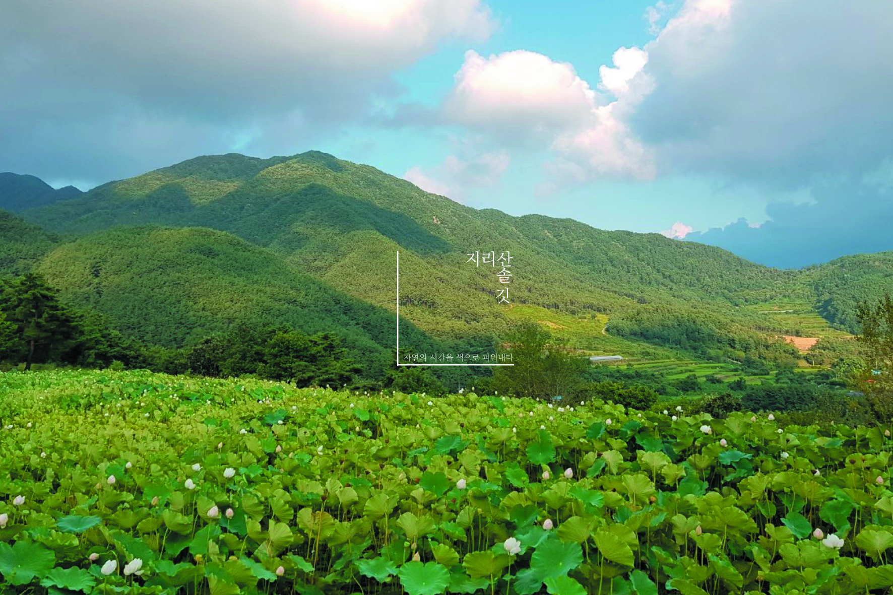 지리산솔깃3.jpg